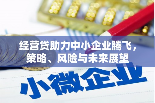 峰峰矿区经营贷助力中小企业腾飞，策略、风险与未来展望