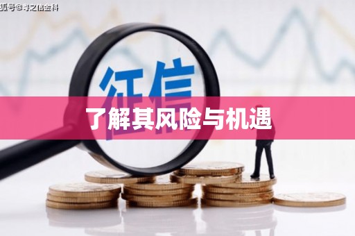 峰峰矿区了解其风险与机遇