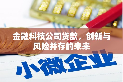 峰峰矿区金融科技公司贷款，创新与风险并存的未来