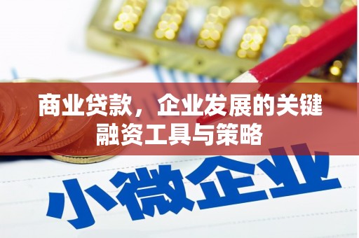 峰峰矿区商业贷款，企业发展的关键融资工具与策略