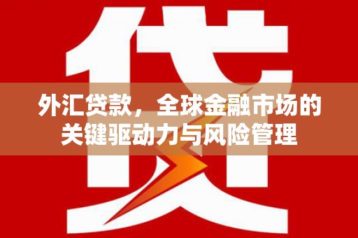 峰峰矿区外汇贷款，全球金融市场的关键驱动力与风险管理