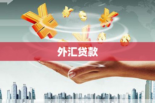 峰峰矿区外汇贷款