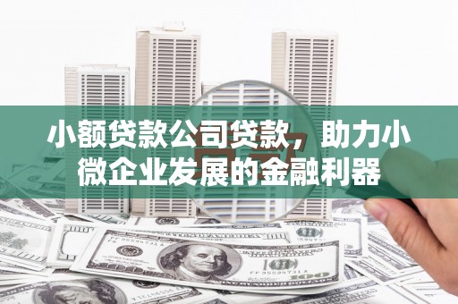 峰峰矿区小额贷款公司贷款，助力小微企业发展的金融利器