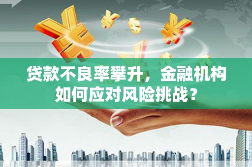峰峰矿区贷款不良率攀升，金融机构如何应对风险挑战？