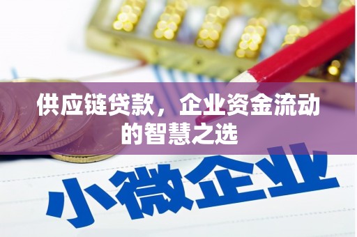 峰峰矿区供应链贷款，企业资金流动的智慧之选
