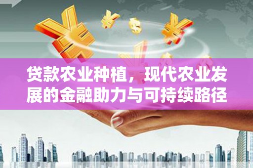 峰峰矿区贷款农业种植，现代农业发展的金融助力与可持续路径