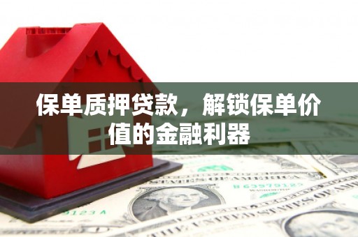 峰峰矿区保单质押贷款，解锁保单价值的金融利器
