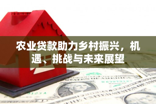 峰峰矿区农业贷款助力乡村振兴，机遇、挑战与未来展望