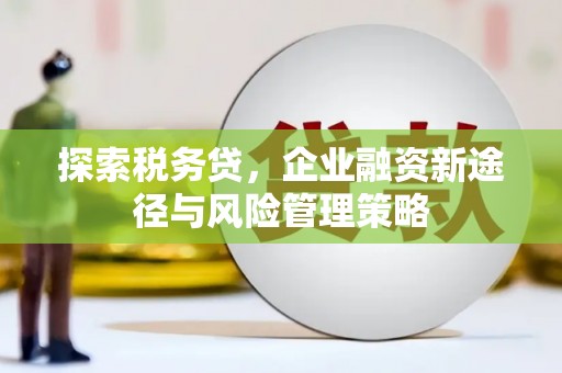 峰峰矿区探索税务贷，企业融资新途径与风险管理策略