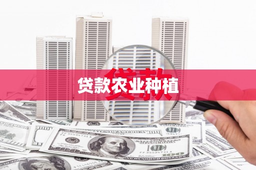 峰峰矿区贷款农业种植