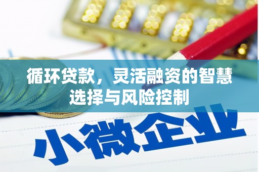 峰峰矿区循环贷款，灵活融资的智慧选择与风险控制
