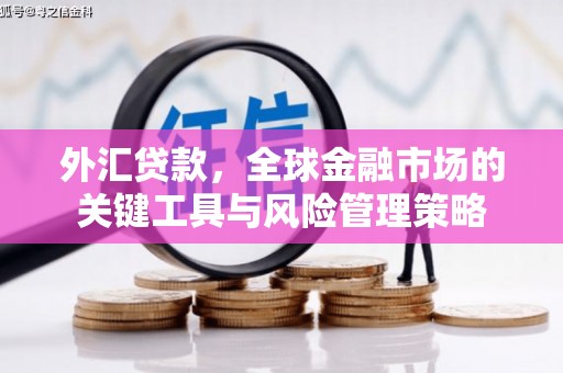 峰峰矿区外汇贷款，全球金融市场的关键工具与风险管理策略
