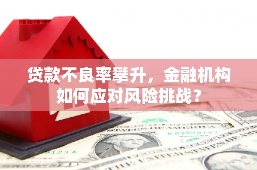 峰峰矿区贷款不良率攀升，金融机构如何应对风险挑战？