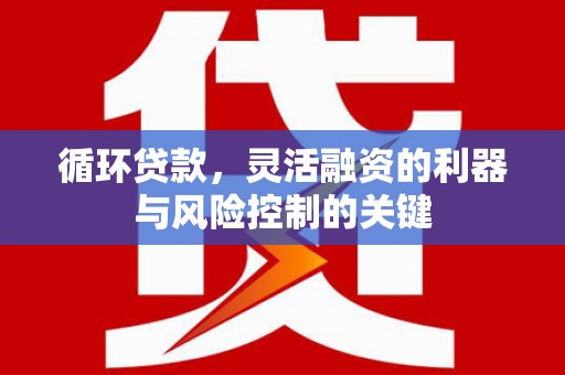峰峰矿区循环贷款，灵活融资的利器与风险控制的关键