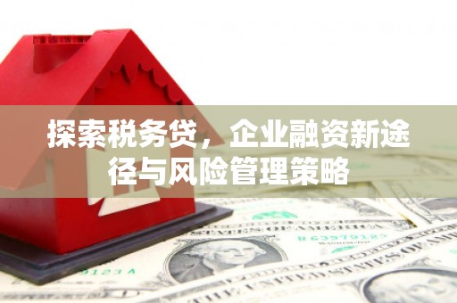 峰峰矿区探索税务贷，企业融资新途径与风险管理策略