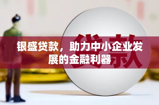 峰峰矿区银盛贷款，助力中小企业发展的金融利器