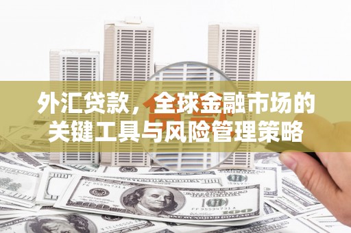 峰峰矿区外汇贷款，全球金融市场的关键工具与风险管理策略