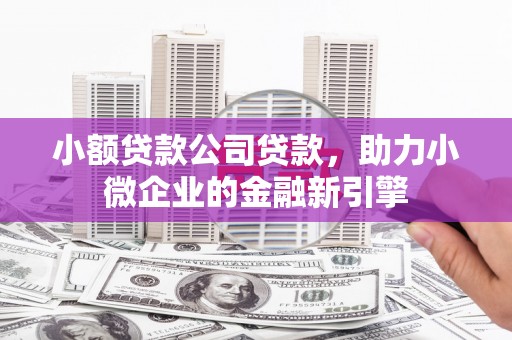 峰峰矿区小额贷款公司贷款，助力小微企业的金融新引擎