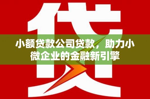 峰峰矿区小额贷款公司贷款，助力小微企业的金融新引擎
