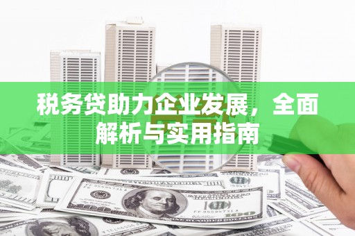 峰峰矿区税务贷助力企业发展，全面解析与实用指南
