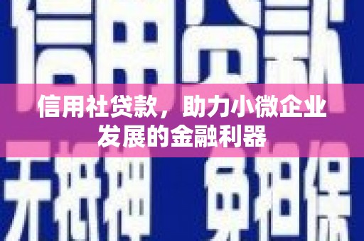 峰峰矿区信用社贷款，助力小微企业发展的金融利器