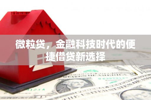 峰峰矿区微粒贷，金融科技时代的便捷借贷新选择