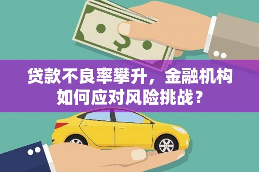峰峰矿区贷款不良率攀升，金融机构如何应对风险挑战？